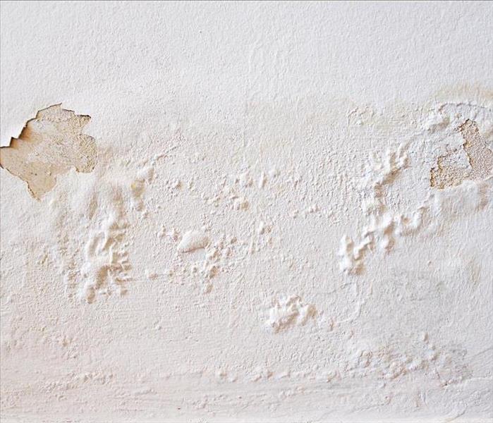 Bubbling Paint from Water Damage
